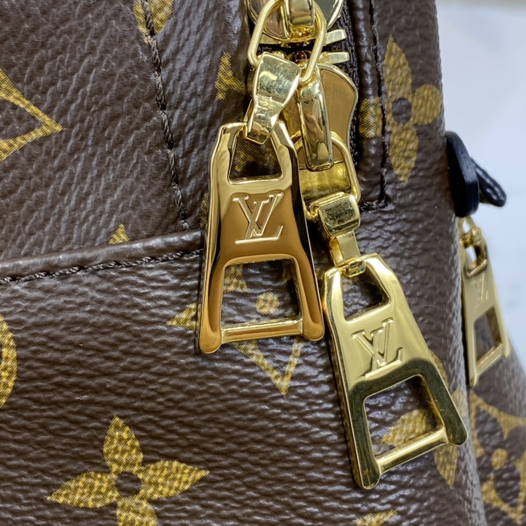 Louis Vuitton PALM SPRINGS MINI Backpack Monogram M44873